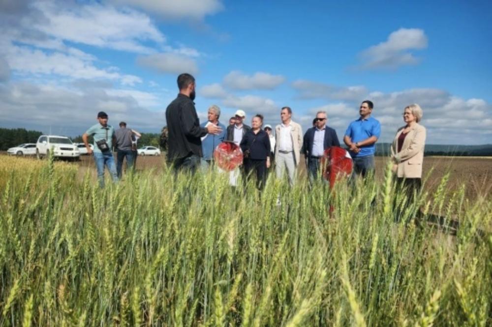 Breeders at the Irkutsk Research Institute of Agriculture of the SFSCA RAS summed up the season's work