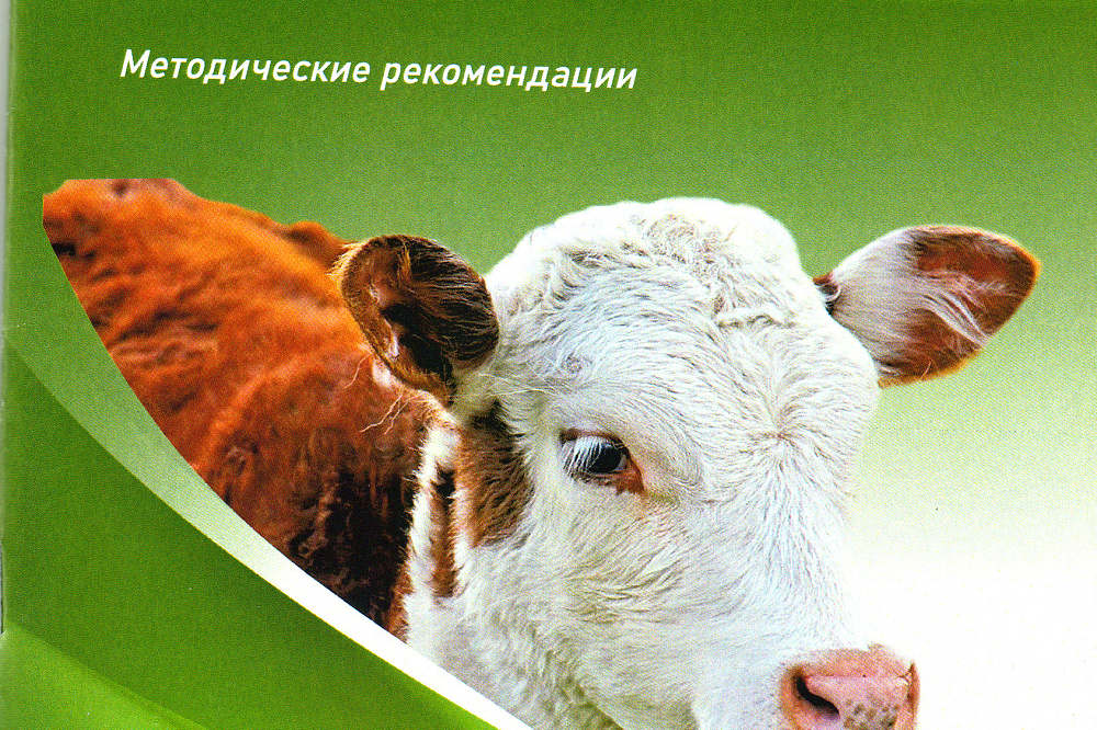 Учеными СФНЦА РАН разработаны методические рекомендации про клостридиозы крупного рогатого скота
