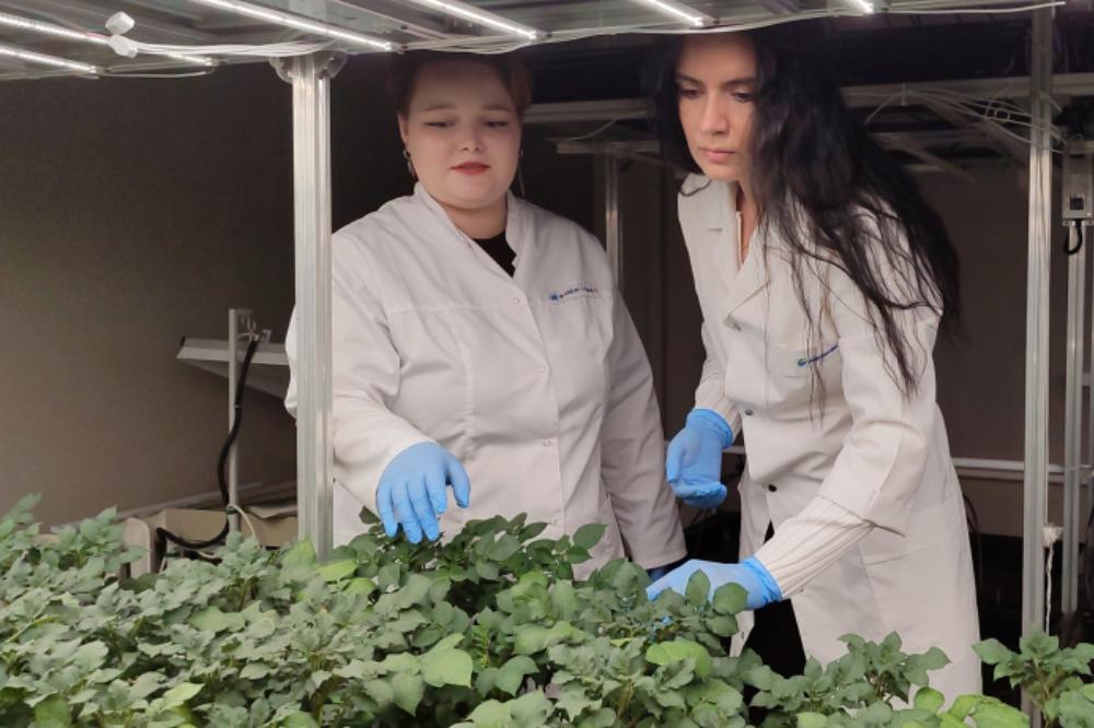 An employee of the Irkutsk Research Institute of Agriculture — a branch of the SFSCA RAS — has successfully completed an internship