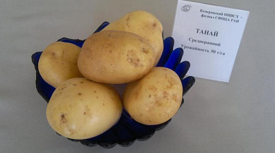 ТАНАЙ