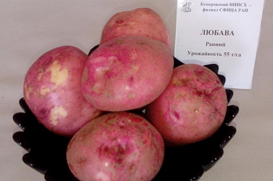 ЛЮБАВА